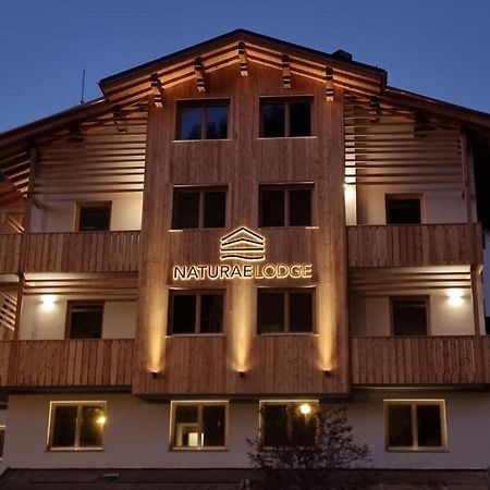 Naturae Lodge Wellness & Spa Alleghe Exteriör bild