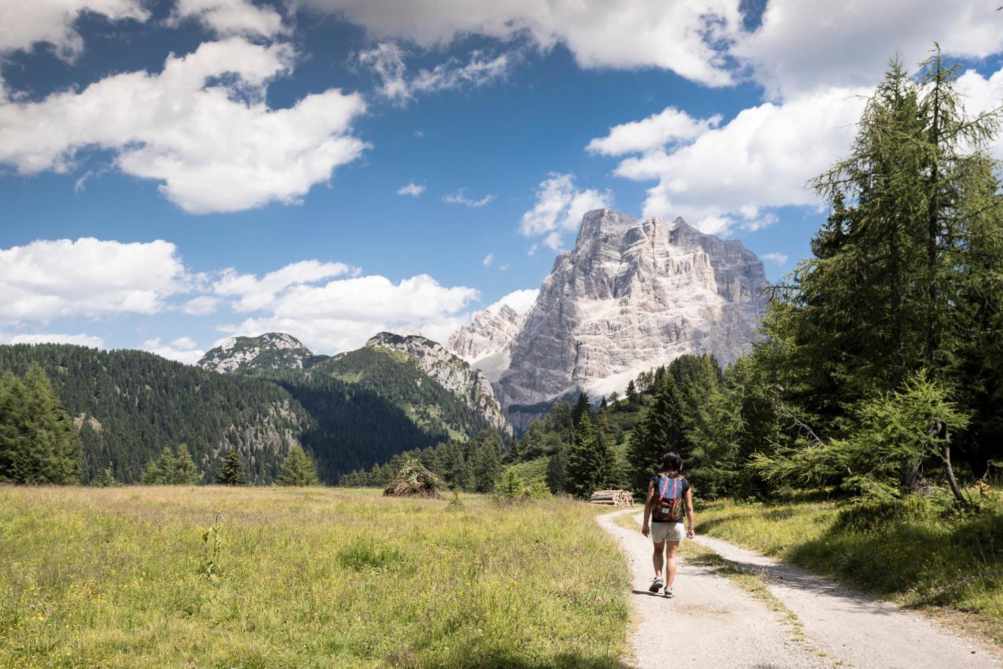 Naturae Lodge Wellness & Spa Alleghe Exteriör bild