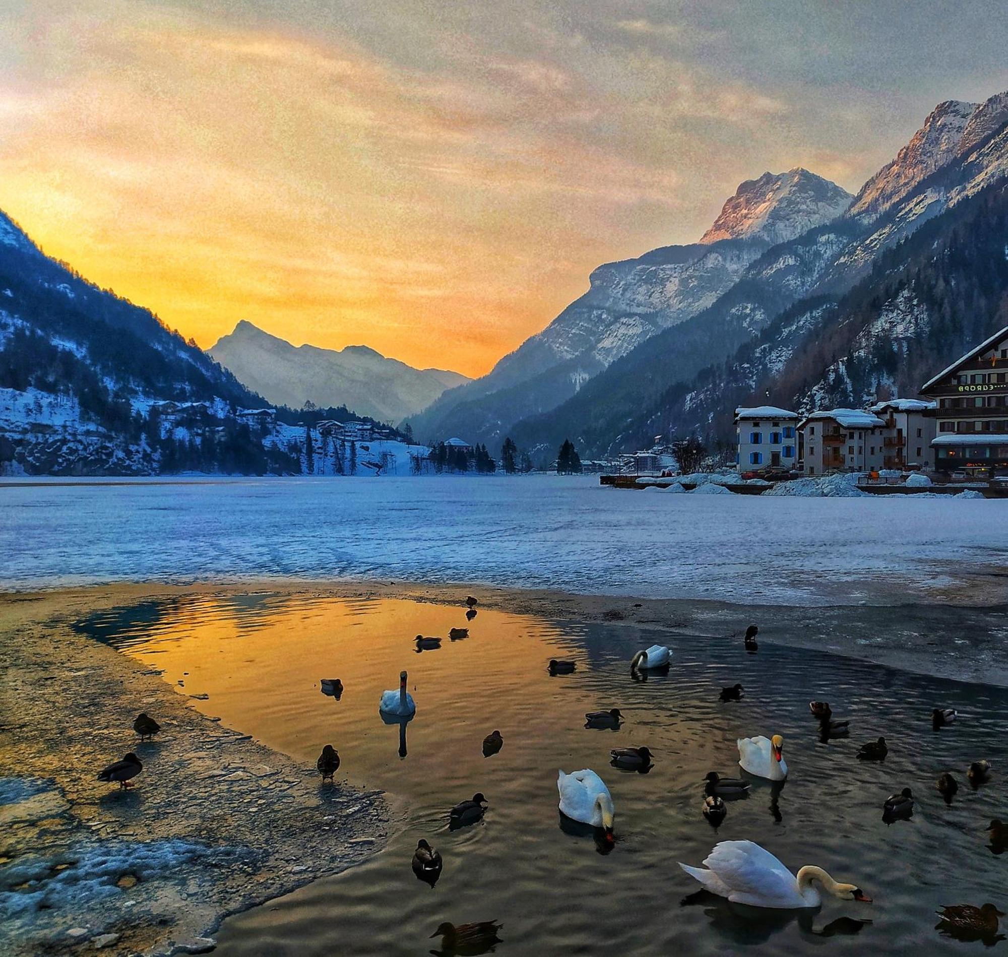 Naturae Lodge Wellness & Spa Alleghe Exteriör bild